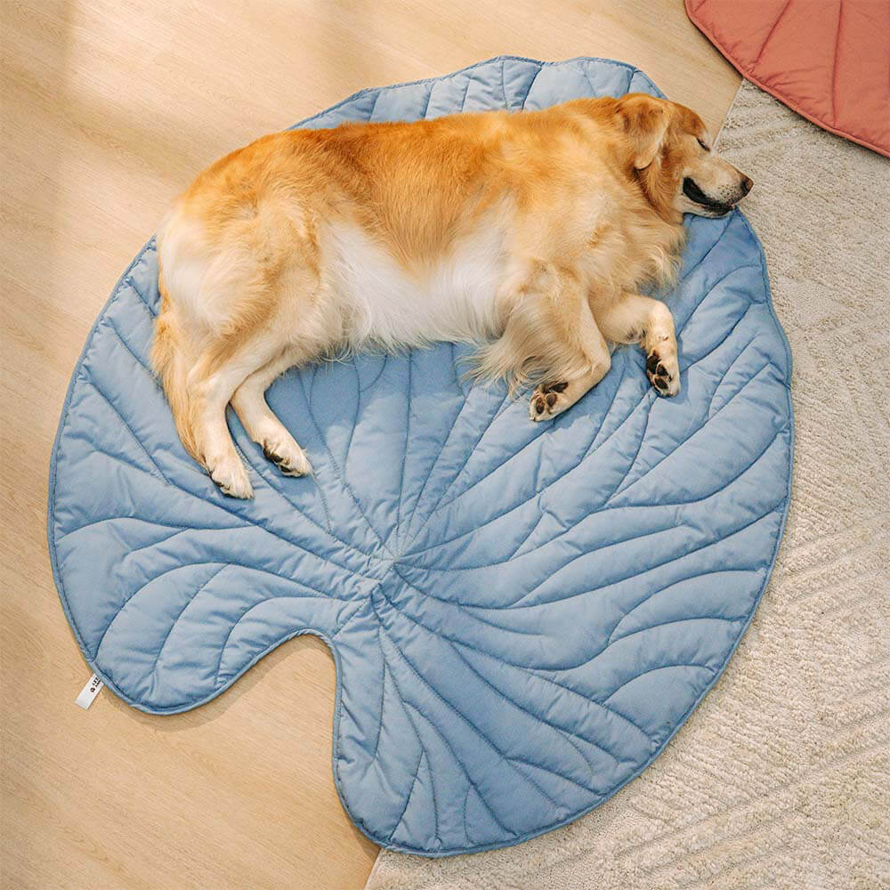 Couverture pour chien en forme de très grande feuille, tapis humain