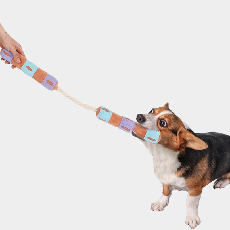 Distributeur de friandises interactif amusant, jouet grinçant pour chien