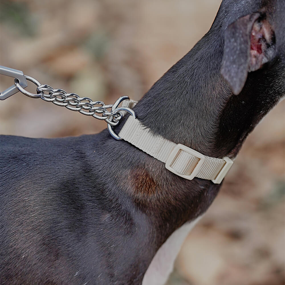 Collar de adiestramiento para perros martingala antitirones Chain Reaction