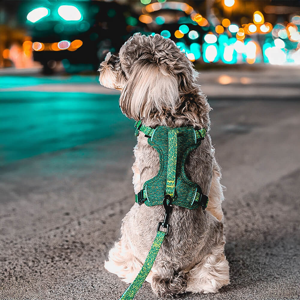 Harnais et laisse pour chien sans traction en tissu recyclé respectueux de l'environnement