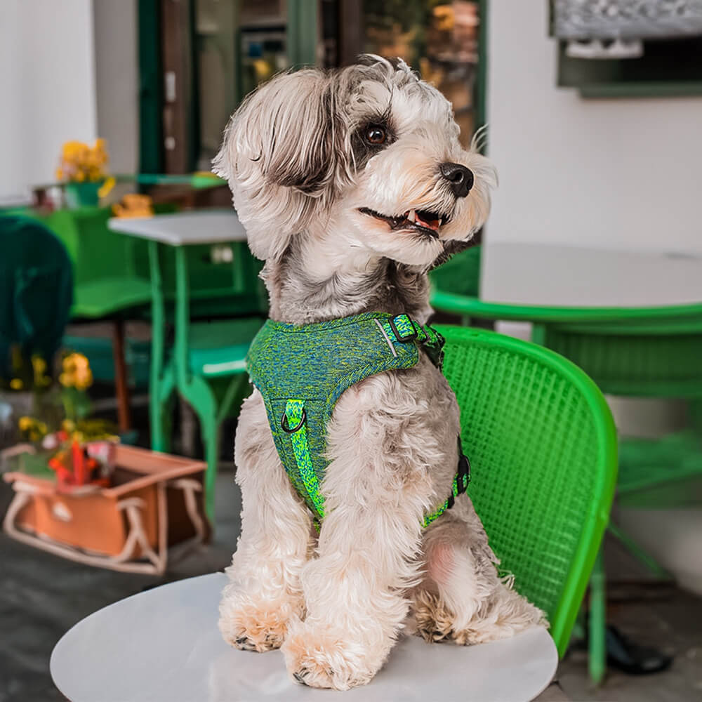 Harnais et laisse pour chien sans traction en tissu recyclé respectueux de l'environnement