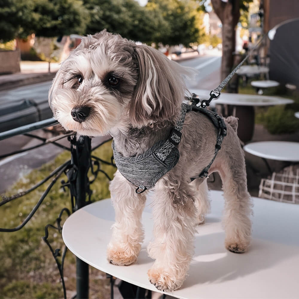 Harnais et laisse pour chien sans traction en tissu recyclé respectueux de l'environnement