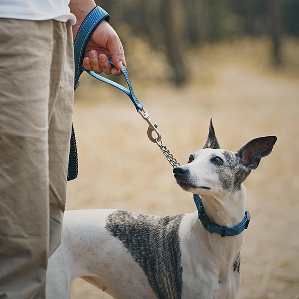 Collier et laisse pour chien anti-traction réfléchissants multifonctionnels