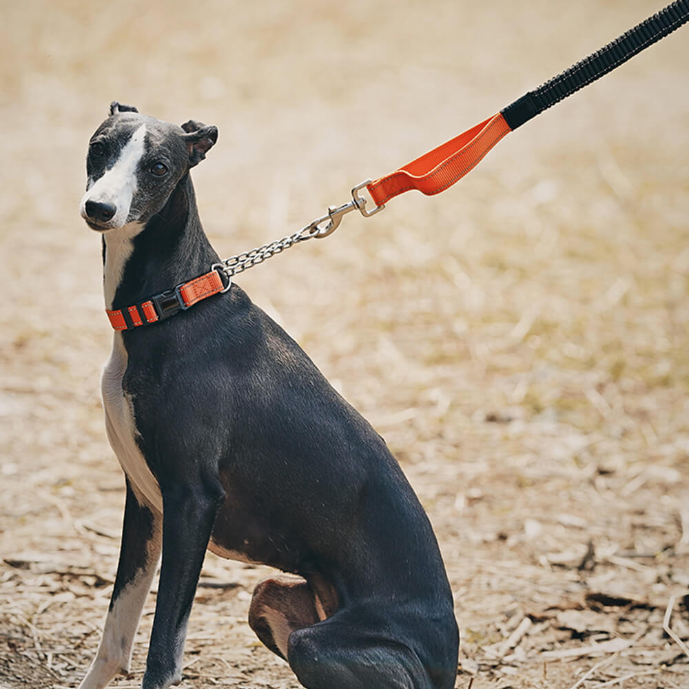 Collar y correa para perros antitirones reflectantes multifuncionales