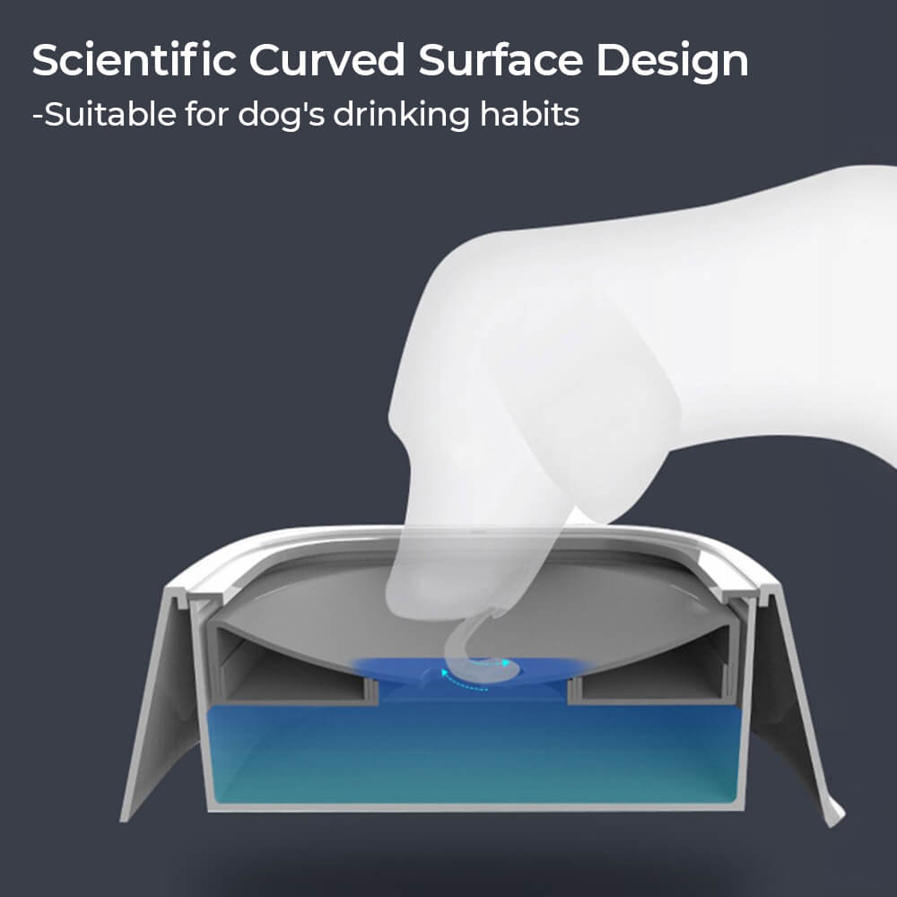 وعاء ماء للكلاب لا يسمح بالانسكاب أثناء السفر مع قرص عائم