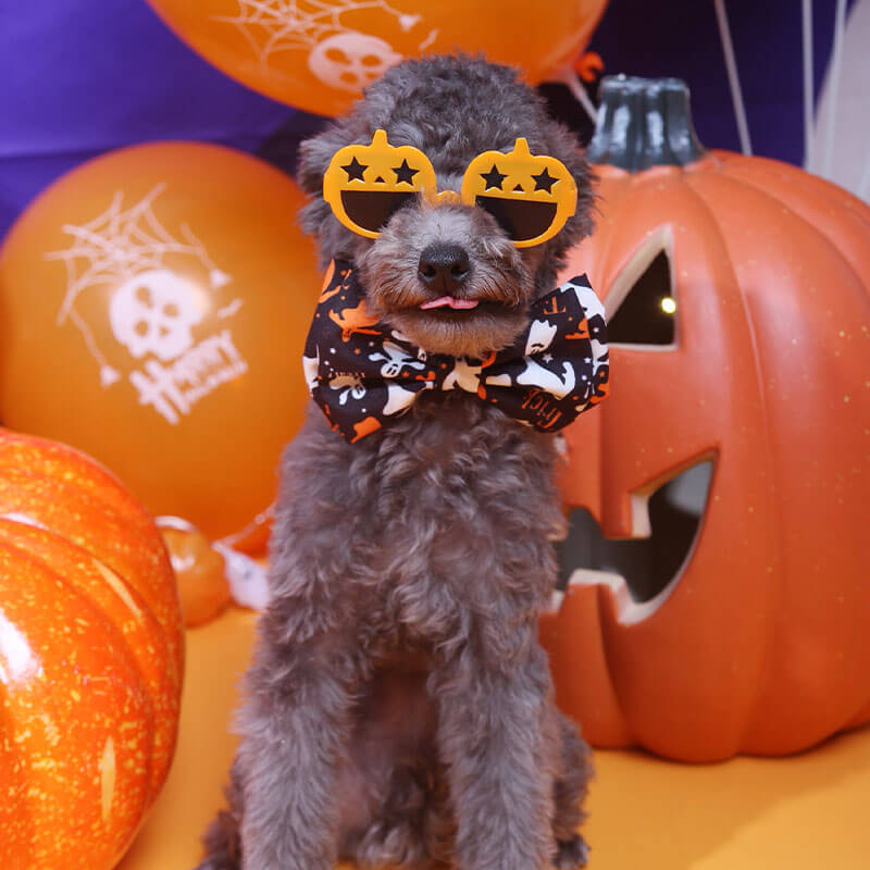 Óculos de proteção para cães de abóbora da moda com decoração de Halloween