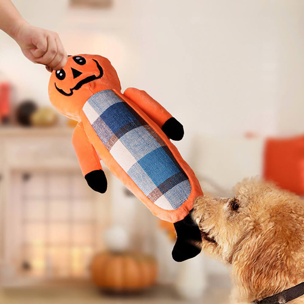 Lustiges Halloween-Kürbis-Beißseil-Spielzeug, Kauspielzeug-Set für Hunde