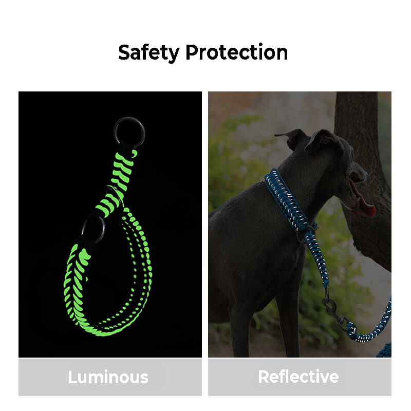 Handmade Anti-Pull Luminous Large Dog Collar and Leash