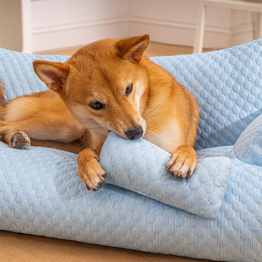 Lit pour animaux de compagnie rafraîchissant en soie glacée, canapé-lit respirant et lavable pour chien