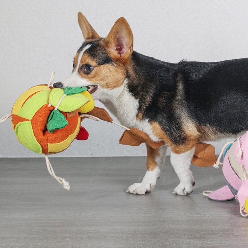 Interactive Puzzle Squeaky Toy Leaf Ball Dog Treat Dispenser Toy