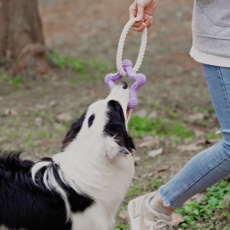 Interaktives Tauziehen-Hundespielzeug, Zahnreinigung, Kauspielzeug aus Gummi