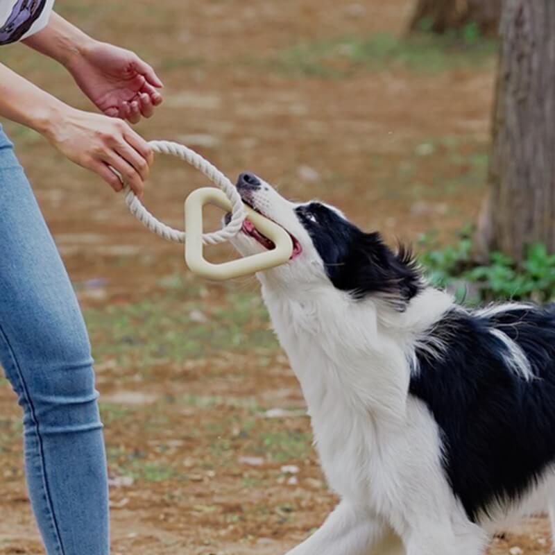 Interaktives Tauziehen-Hundespielzeug, Zahnreinigung, Kauspielzeug aus Gummi