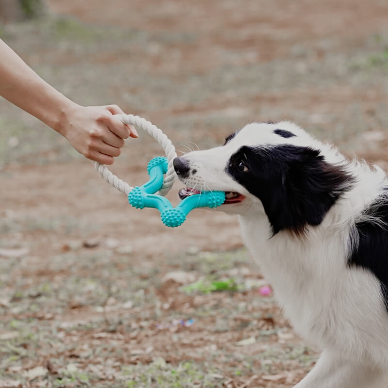 Interaktives Tauziehen-Hundespielzeug, Zahnreinigung, Kauspielzeug aus Gummi