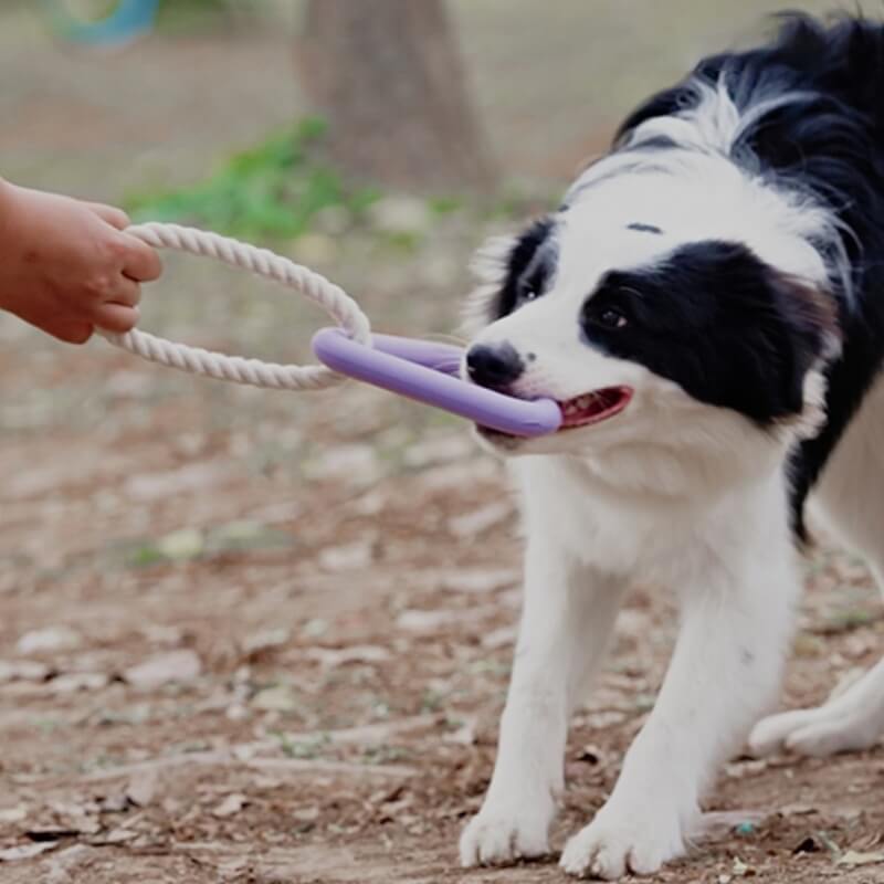 Interaktives Tauziehen-Hundespielzeug, Zahnreinigung, Kauspielzeug aus Gummi