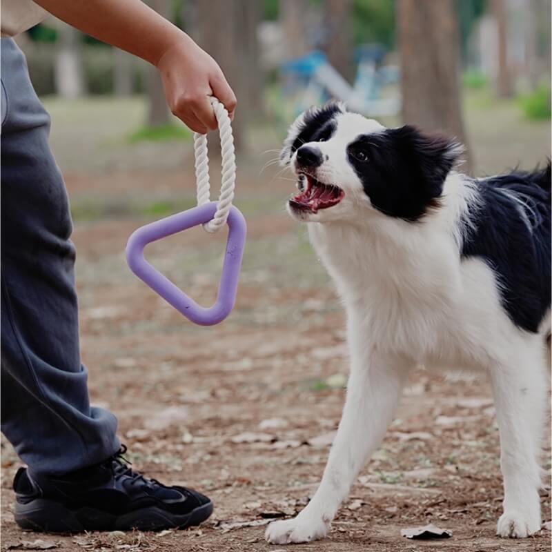 Interaktives Tauziehen-Hundespielzeug, Zahnreinigung, Kauspielzeug aus Gummi