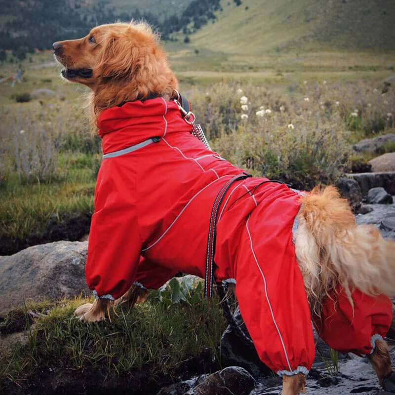 Veste d'extérieur pour grand chien, manteau de pluie imperméable et réglable pour chien