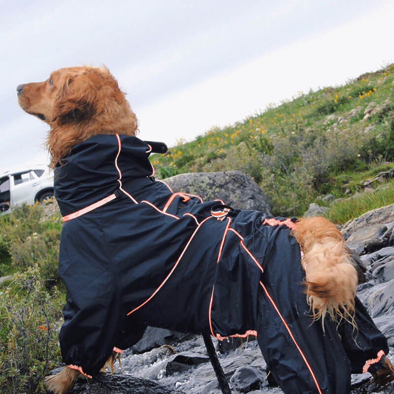 Jaqueta grande para cachorro ao ar livre Capa de chuva ajustável à prova d'água para cachorro