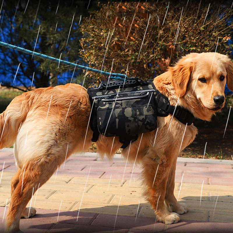 Pacote próprio com arnês tático para cães grandes