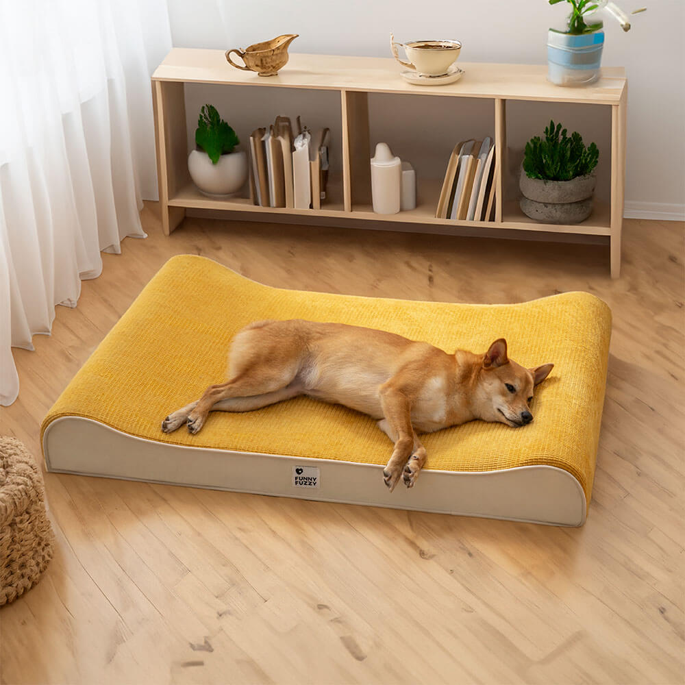 Luxuriöser Nobility Dog Lounge Chair, orthopädisches Hundebett