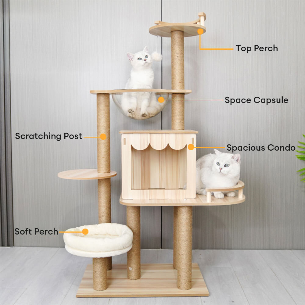 Multi-Level Fun Modern Wooden Cat Tree Tower with Condo and Space Capsule