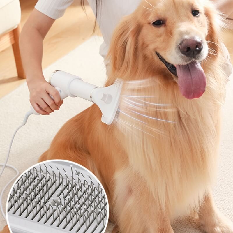 Multifunctional Hair Combing & Drying Adjustable Gear Portable Pet Hair Dryer