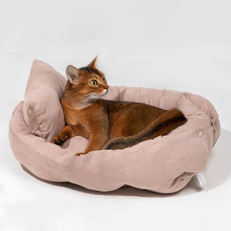 Tapis multifonctionnel pour animaux de compagnie, lit pour chat et chien en daim doux