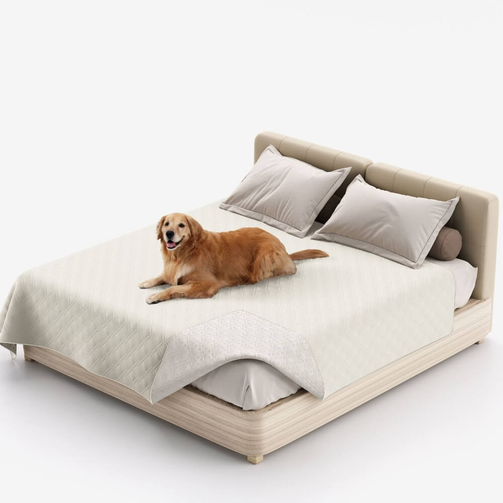 Couverture imperméable multifonctionnelle pour animaux de compagnie, drap plat de protection de matelas