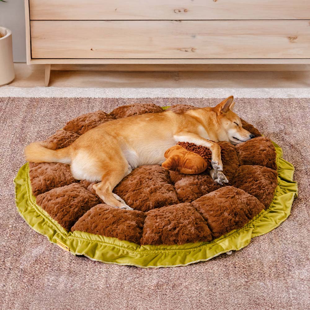 Nature-Inspired Adjustable Calming Dog Bed - Plush Nest