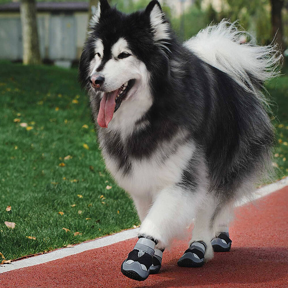 Bottines d'extérieur pour randonnée et course à pied, bottes antidérapantes pour chien