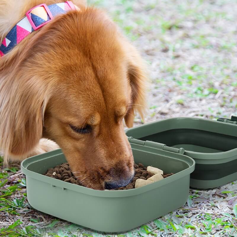 Outdoor Portable Double Bowl Folding Pet Bowl