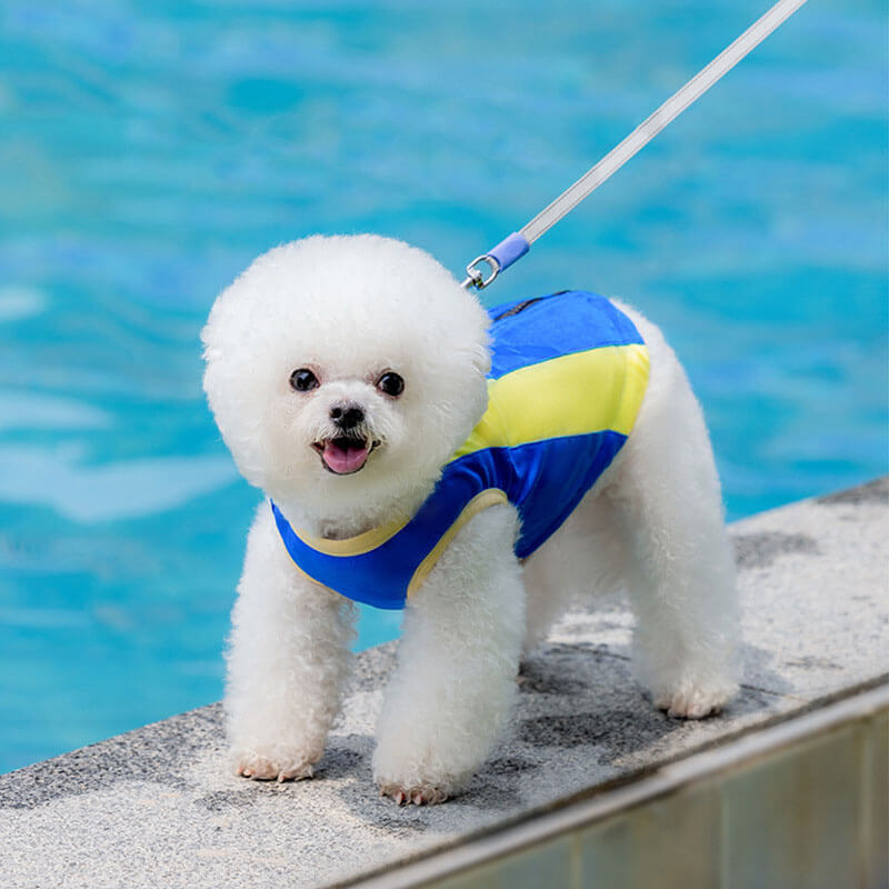 Deportes al aire libre ropa de protección solar para mascotas accesorios para perros geniales chaleco de enfriamiento