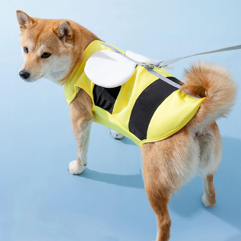 Vêtements de Protection solaire pour animaux de compagnie, Sports de plein air, accessoires pour chiens Cool, gilet rafraîchissant