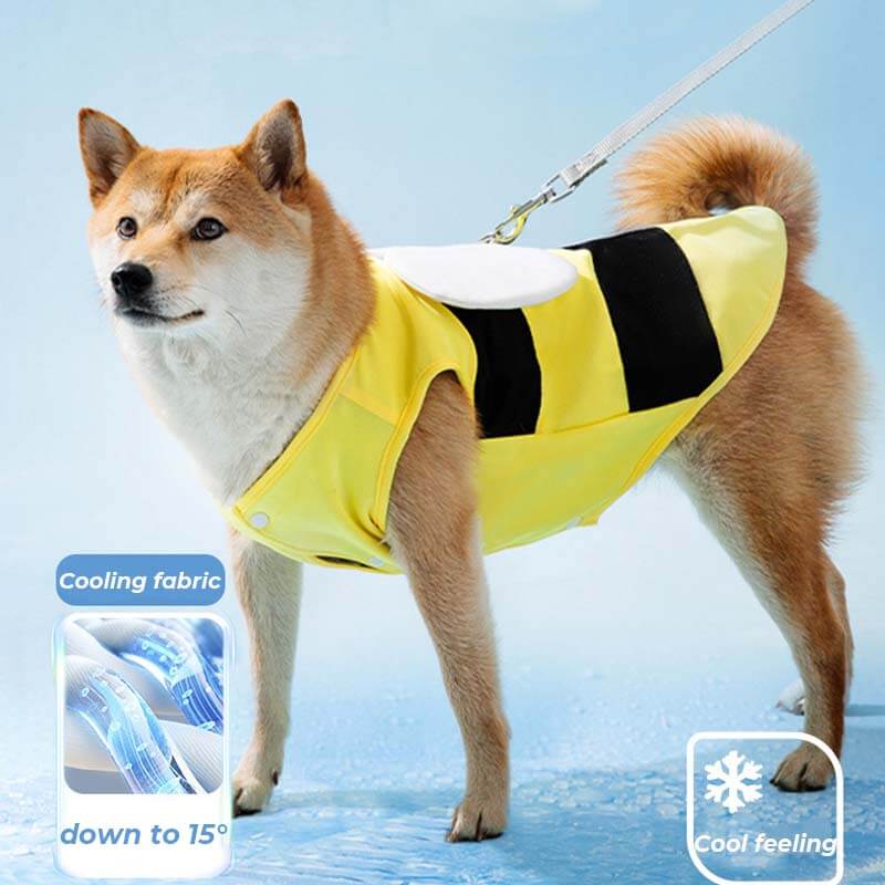 Outdoor Sports Pet Sun Protection Clothing Cool Dog Accessories Cooling Vest