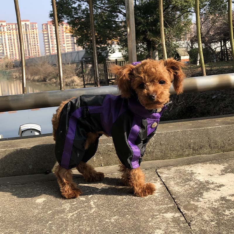 Manteau imperméable à couverture complète pour chien en tissu Oxford avec pattes et capuche