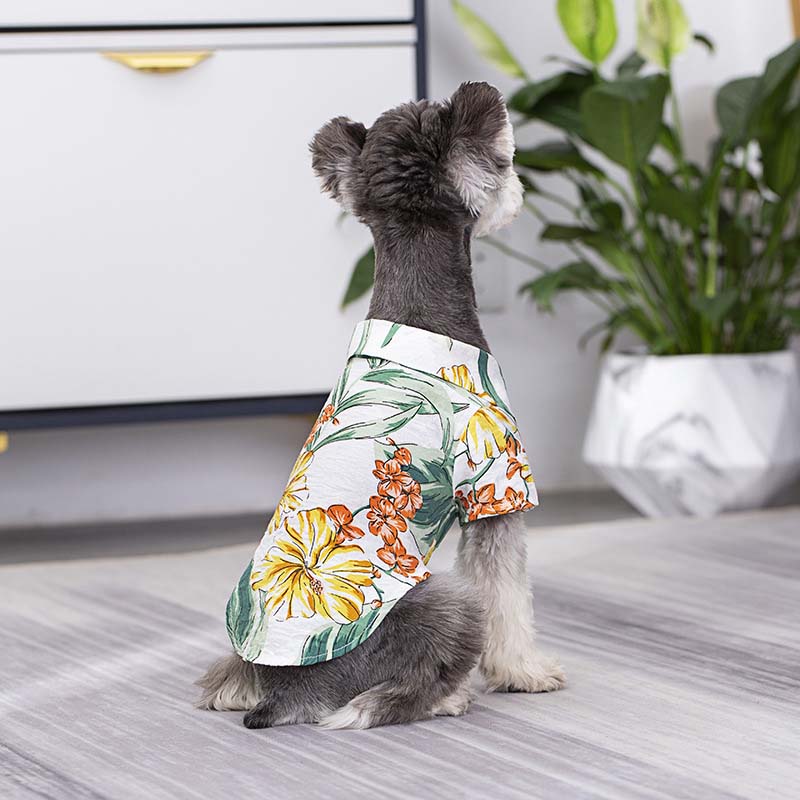 Chemise hawaïenne assortie pour vêtements de chien et de propriétaire