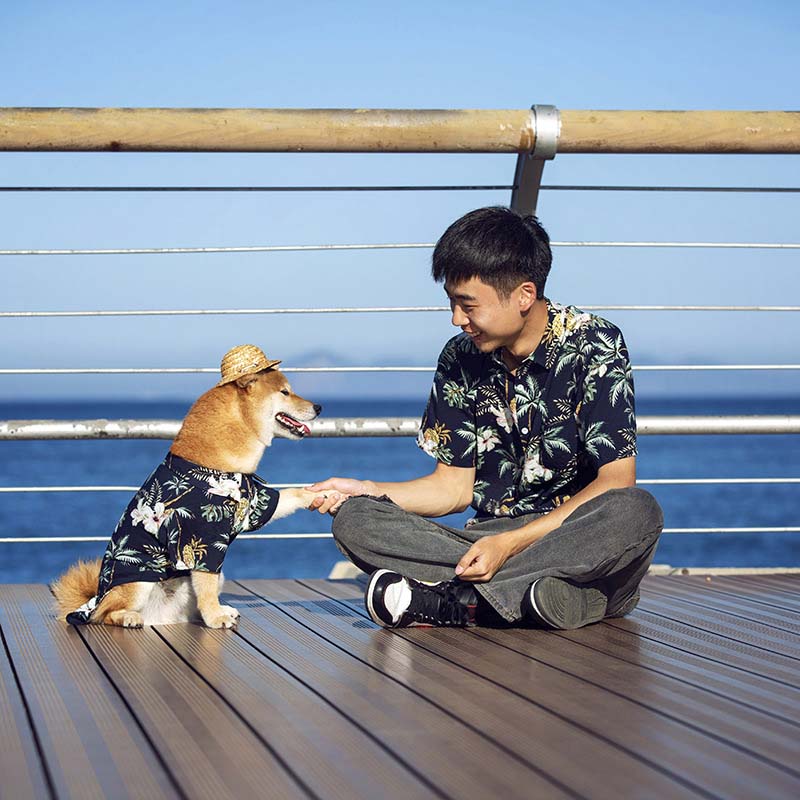 Camisa havaiana combinando para roupas de cachorro e proprietário