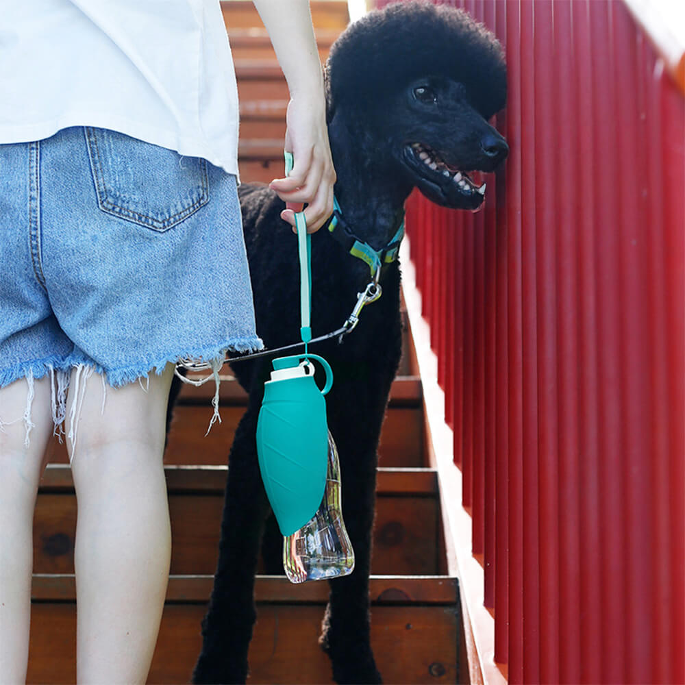 Tragbare blattförmige Outdoor-Reise-Wasserspender-Hundewasserflasche