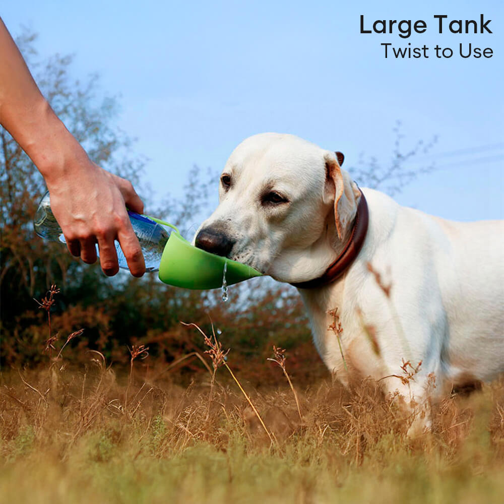 Distributeur d'eau Portable en forme de feuille pour voyage en plein air, bouteille d'eau pour chien