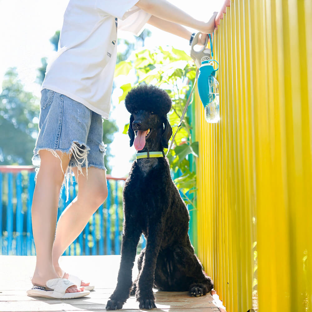 Tragbare blattförmige Outdoor-Reise-Wasserspender-Hundewasserflasche