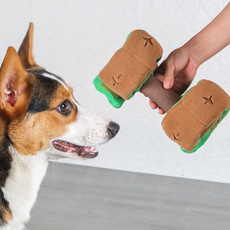 Puzzle distributeur de nourriture interactif pour chien, jouet de friandises avec haltères