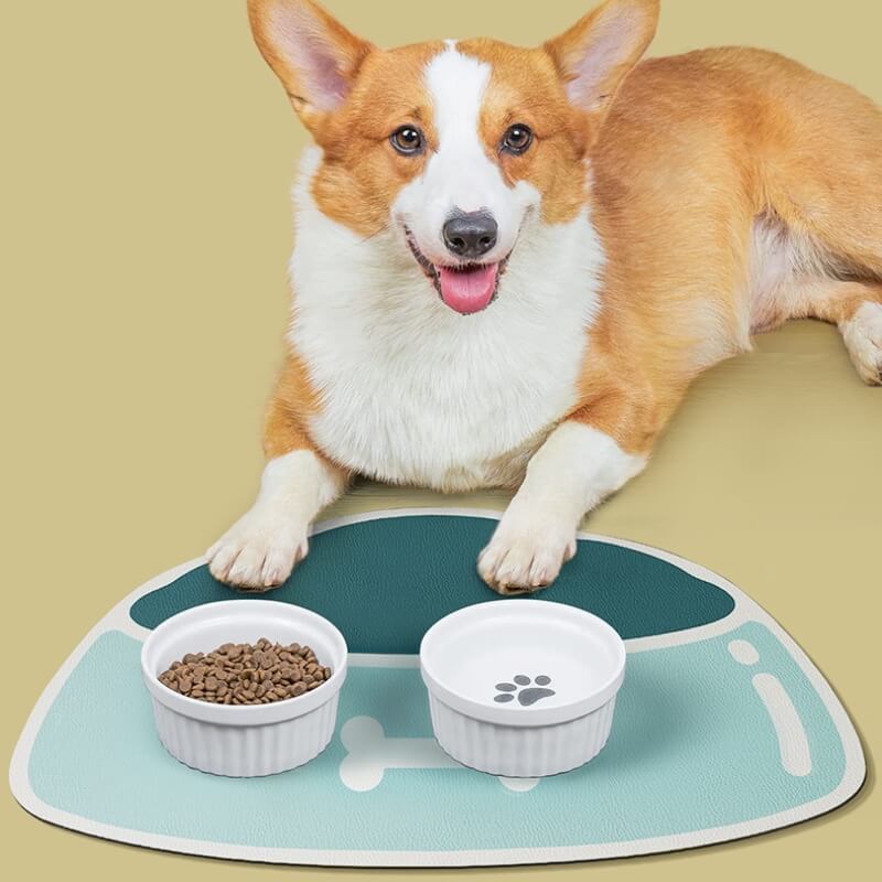 Tapis d'alimentation pour animaux de compagnie antidérapant et absorbant à séchage rapide