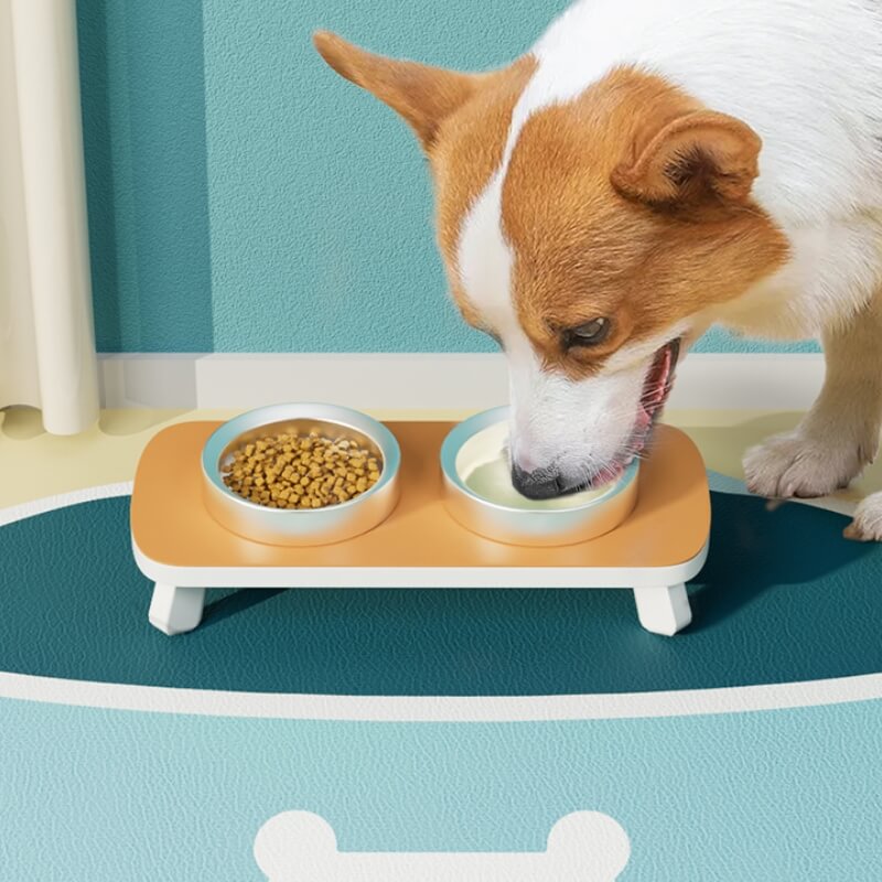 Quick-Dry Absorbent Non-Slip Pet Feeding Mat