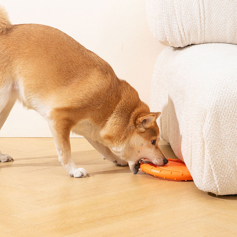 Volant en caoutchouc, jouet interactif pour chien, disque volant