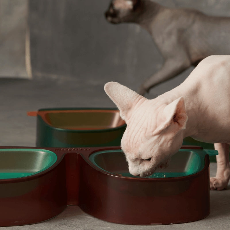 Lunettes de soleil Bol double pour animaux de compagnie, séparation sèche et humide