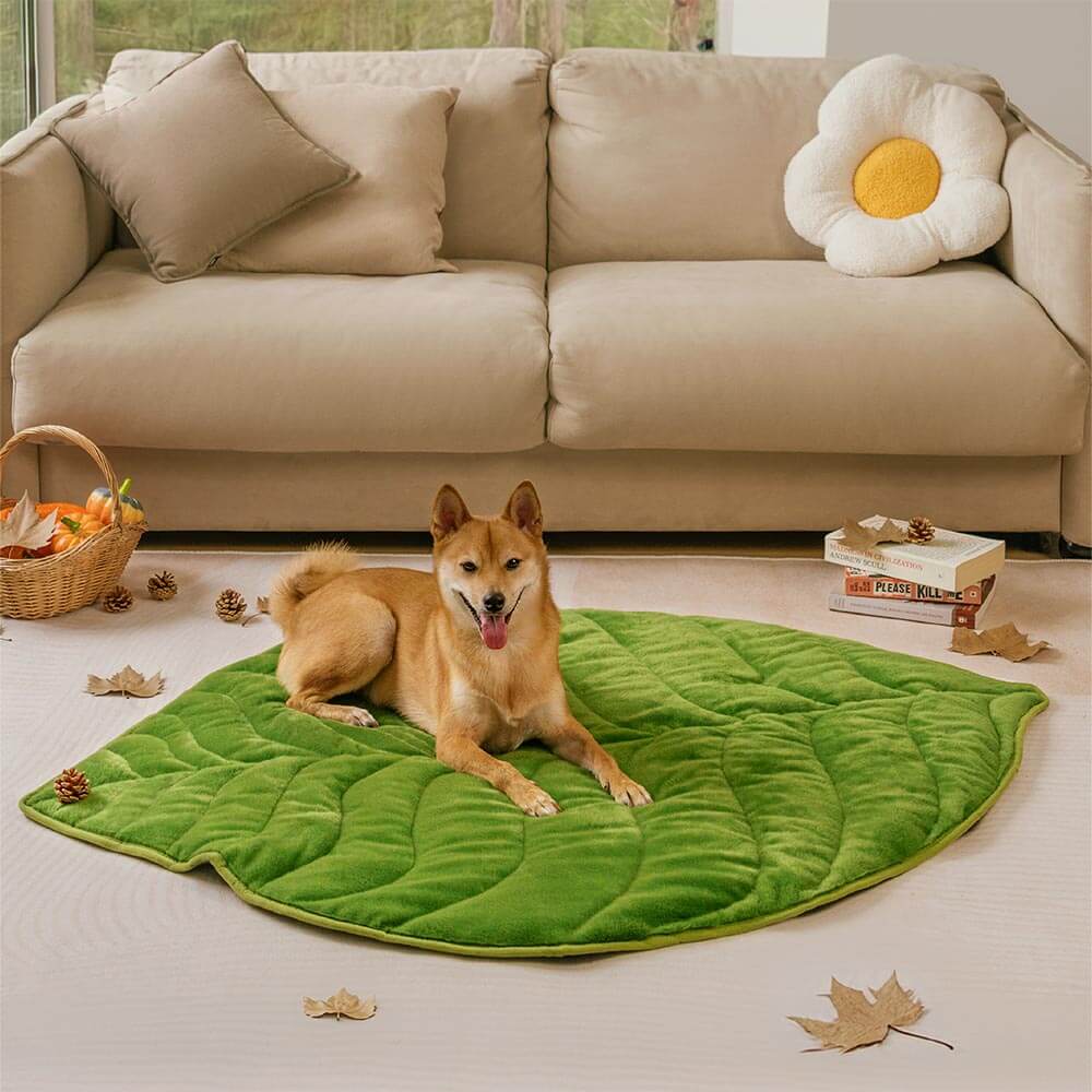 Plush Leaf-Shaped Washable Dog Mat-The Leaf Collector