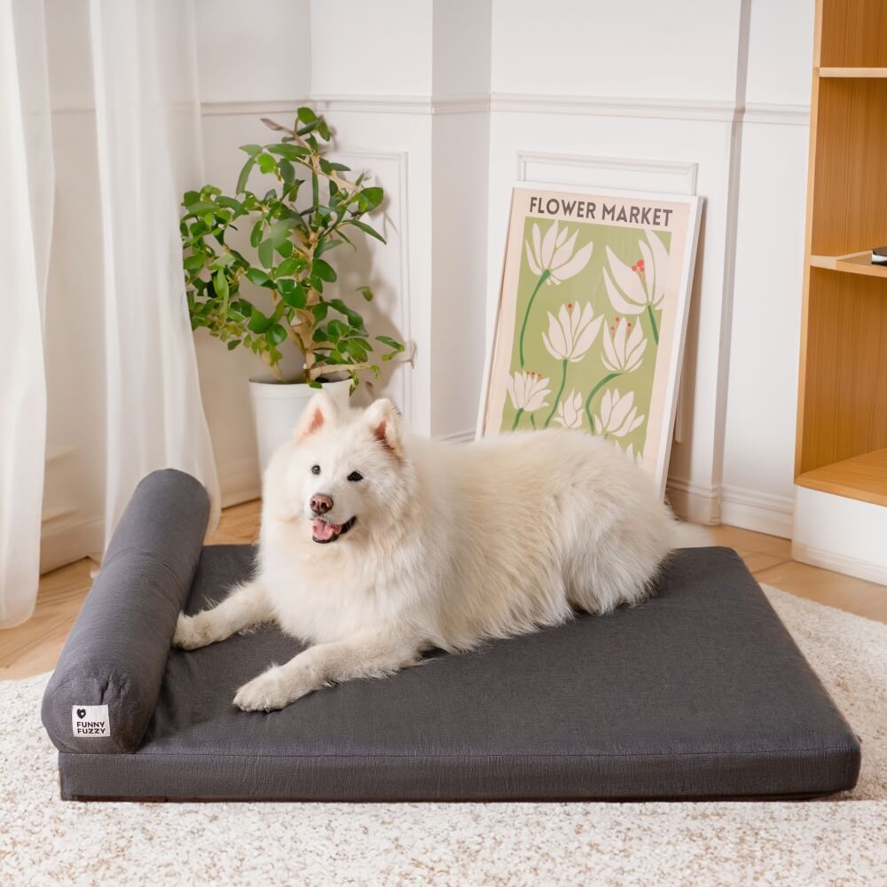 Cama para perros impermeable ortopédica extraíble gruesa