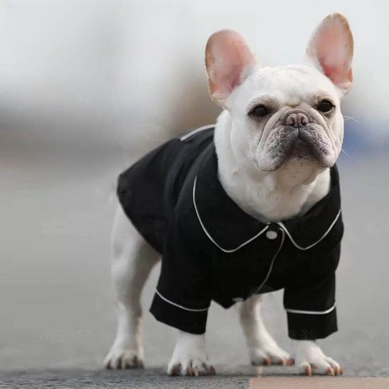 Pyjama assorti fin et confortable résistant aux poils pour chien et propriétaire.