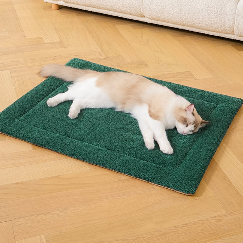 Tapis pour animaux de compagnie en peluche antidérapant et chaud et confortable