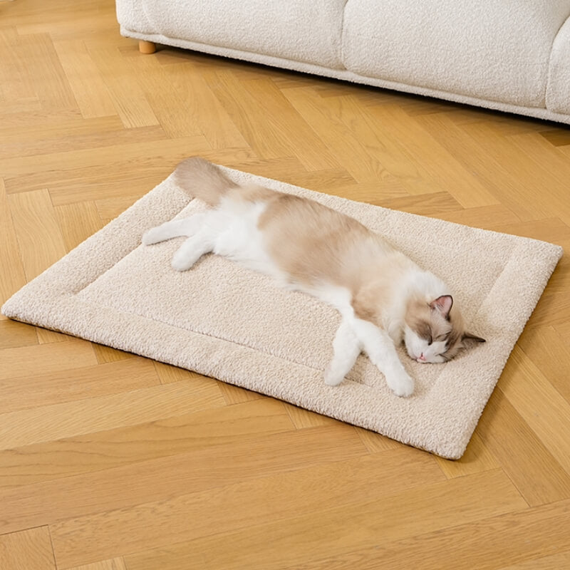 Tapis pour animaux de compagnie en peluche antidérapant et chaud et confortable