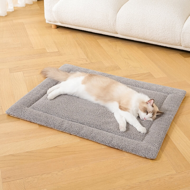 Tapis pour animaux de compagnie en peluche antidérapant et chaud et confortable